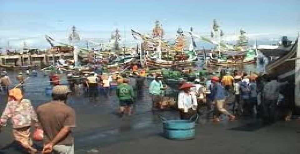 Beritabali.com